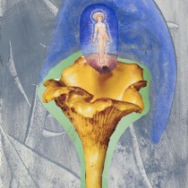 Mushroom Man